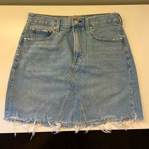Everlane Denim Skirt